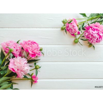 WEBLUX 313371368 Fototapeta papír Pink peony flowers on white wooden table. womans day or wedding background. Top view. Květy růžové pivoňky na bílém dřevěném stole. Ze rozměry 360 x 266 cm – Zboží Mobilmania