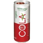 Hollinger Cola Bio plech 250 ml – Sleviste.cz