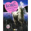 Kniha Koně vytvoř si knihu - 800 samolep