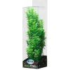Akvarijní rostlina I--Z ATG Premium rostlina střední 26 až 32 cm 403