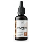 POLYPORUS EXTRAKT TINKTURA 50 ml – Hledejceny.cz