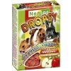 Krmivo pro hlodavce Nestor Biscuit fruit 35 g