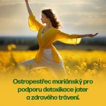 Walmark Ostropestřec mariánský 7000 mg Forte 30 tablet – Hledejceny.cz