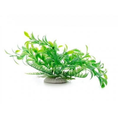 JK ANIMALS Ludwigia zelená 14–17 cm – Zboží Mobilmania