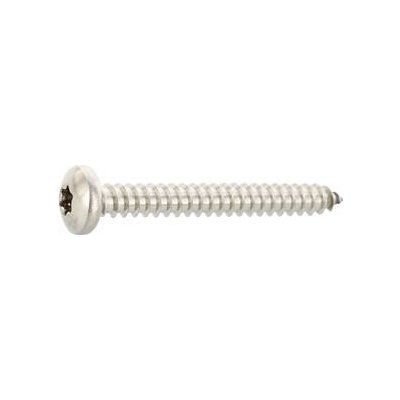 DIN7981C 4.2 x 38 Torx20 vrut do plechu, čočková hlava, nerez A4 (100 ks) – Hledejceny.cz