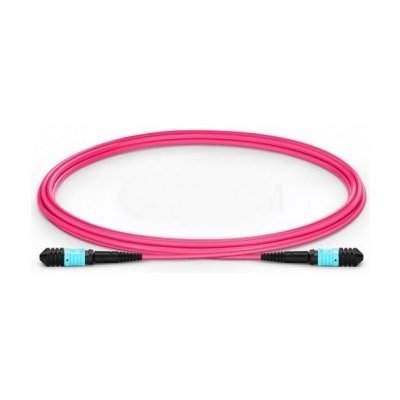XtendLan FOP-MPOfMPOf-2-OM4-PB FO patch MPO(f)-MPO(f), OM4, 12/12, 2m – Zboží Živě