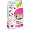 Granule pro psy Purina Beneful Malí požitkáři hovězí maso a zelenina 1,4 kg