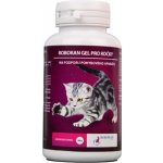 Roboran Chondro pro kočky 60 g – Hledejceny.cz