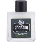 Proraso Cypress and Vetyver balzám na vousy 100 ml – Zboží Dáma