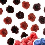 Aniland Ovocné Mini Tlapičky pro mazlíčky i páníčky 20 g – Zboží Dáma