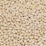 Život bez lepku Fazole malá bílá 2 kg – Sleviste.cz