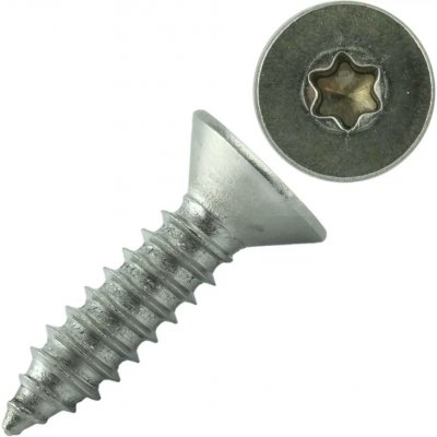 Šroub DIN 7982C nerez A2 4,8x50 Torx – Hledejceny.cz
