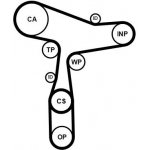 Sada rozvodového řemene s vodní pumpou CONTINENTAL CTAM CT1168WP8PRO – Sleviste.cz