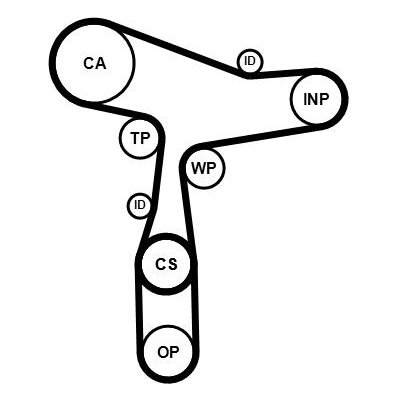 Sada rozvodového řemene s vodní pumpou CONTINENTAL CTAM CT1168WP8PRO – Sleviste.cz