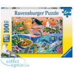 Ravensburger Pestrý oceán 100 dílků – Hledejceny.cz