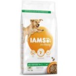 Iams Dog Adult Large Lamb 12 kg – Hledejceny.cz