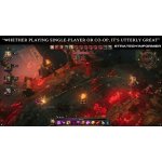 Divinity: Original Sin (Enhanced Edition) – Hledejceny.cz