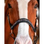 JD Attack Kožená ohlávka Valencia hnědá – Zboží Dáma