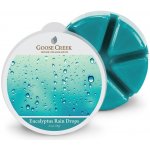 Goose Creek Candle Vonný Vosk Eucalyptus Rain Drops 59 g – Hledejceny.cz