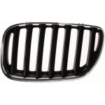 BLIC Přední mřížka L (chrom/černá) BMW X5 E53 12.03-12.06 – Hledejceny.cz