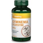 Vitaking Gymnema Sylvestre Gurmar 400 mg 90 tablet – Hledejceny.cz