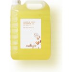 Mandlový masážní olej 5L Organic Series – Sleviste.cz