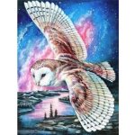 Norimpex Diamantové malování Soví let 30 x 40 cm – Hledejceny.cz