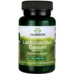 Swanson Probiotikum Lactobacillus Gasseri 60 kapslí – Hledejceny.cz