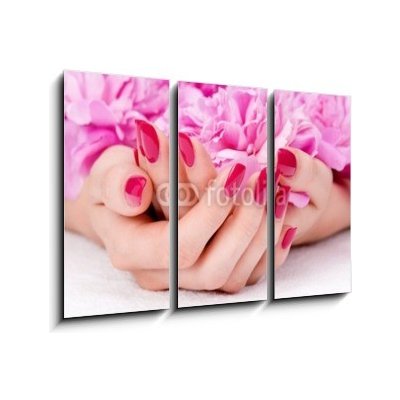 Obraz 3D třídílný - 105 x 70 cm - Woman cupped hands with manicure holding a pink flower Žena s rukama rukou s manikúrou držící růžový květ – Zboží Mobilmania