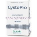 Vitamíny pro psa Protexin CystoPro 30 tbl