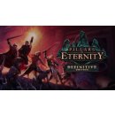 Hra na PC Pillars of Eternity (Definitive Edition)