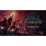 Pillars of Eternity (Definitive Edition) – Zboží Dáma