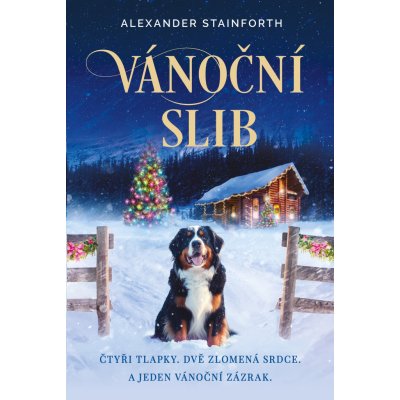 Vánoční slib - Alexander Stainforth – Zboží Dáma