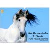 Kalendář Edle spanische Pferde Pura Raza Espanola Wand DIN A3 quer CALVENDO Monats 2024