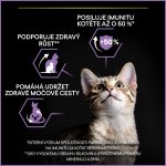 Pro Plan Kitten Healthy Start kuře 2 x 10 kg – Hledejceny.cz