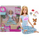 Barbie JOGÍNKA herní set – Zboží Dáma Barbie JOGÍNKA herní set – Zboží Dáma