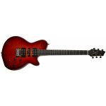 Godin XT SA – Hledejceny.cz