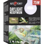 Repti Planet Daylight Neodymium 75 W – Zbozi.Blesk.cz