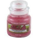 Yankee Candle Pink Dragonfruit 104 g