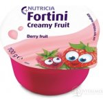 FORTINI CREAMY FRUIT MULTI FIBRE ČERVENÉ OVOCE POR SOL 4X100G – Hledejceny.cz