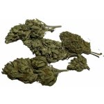 Kratomit CBG force květy 20 g – Zboží Dáma