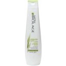 Matrix Biolage Normalizing Clean Reset Shampoo 250 ml