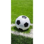 Jerry Fabrics Dětská osuška 70 x 140 cm ‒ Football – Zboží Mobilmania