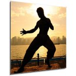 Skleněný obraz 1D - 50 x 50 cm - Bruce lee in Hong kong Bruce Lee v Hongkongu – Hledejceny.cz