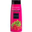 Gabriella Salvete Shower Gel Raspberry sprchový gel 250 ml