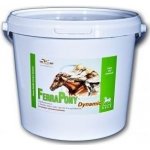 Orling Ferrapony Dynamic 10 kg – Hledejceny.cz