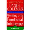 Elektronická kniha Working With Emotional Intelligence - Daniel Goleman