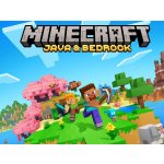 Minecraft: Java & Bedrock Collection – Zboží Dáma