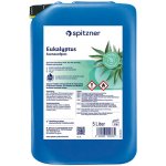 Spitzner Esence do sauny eukalyptus 5 l – Hledejceny.cz