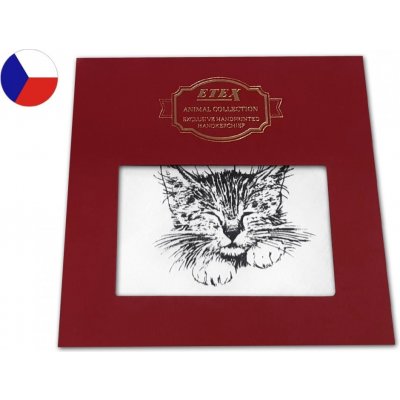 Etex kapesník L35 dárková krabička Kočka 1 ks – Zboží Dáma